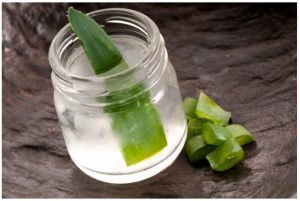 Grow healing aloe vera plant in a sunny window. Enjoy healing juice daily. HappySexyLove.com